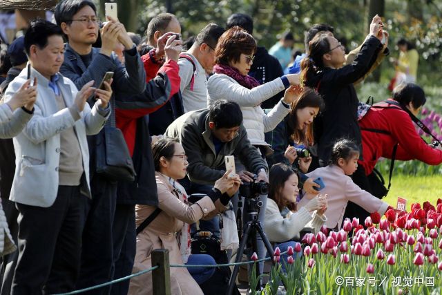 杭州西湖进入最佳赏花期 市民游客蜂拥而至